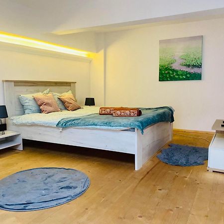 The Central Apartament Διαμέρισμα Κλουζ-Ναπόκα Εξωτερικό φωτογραφία