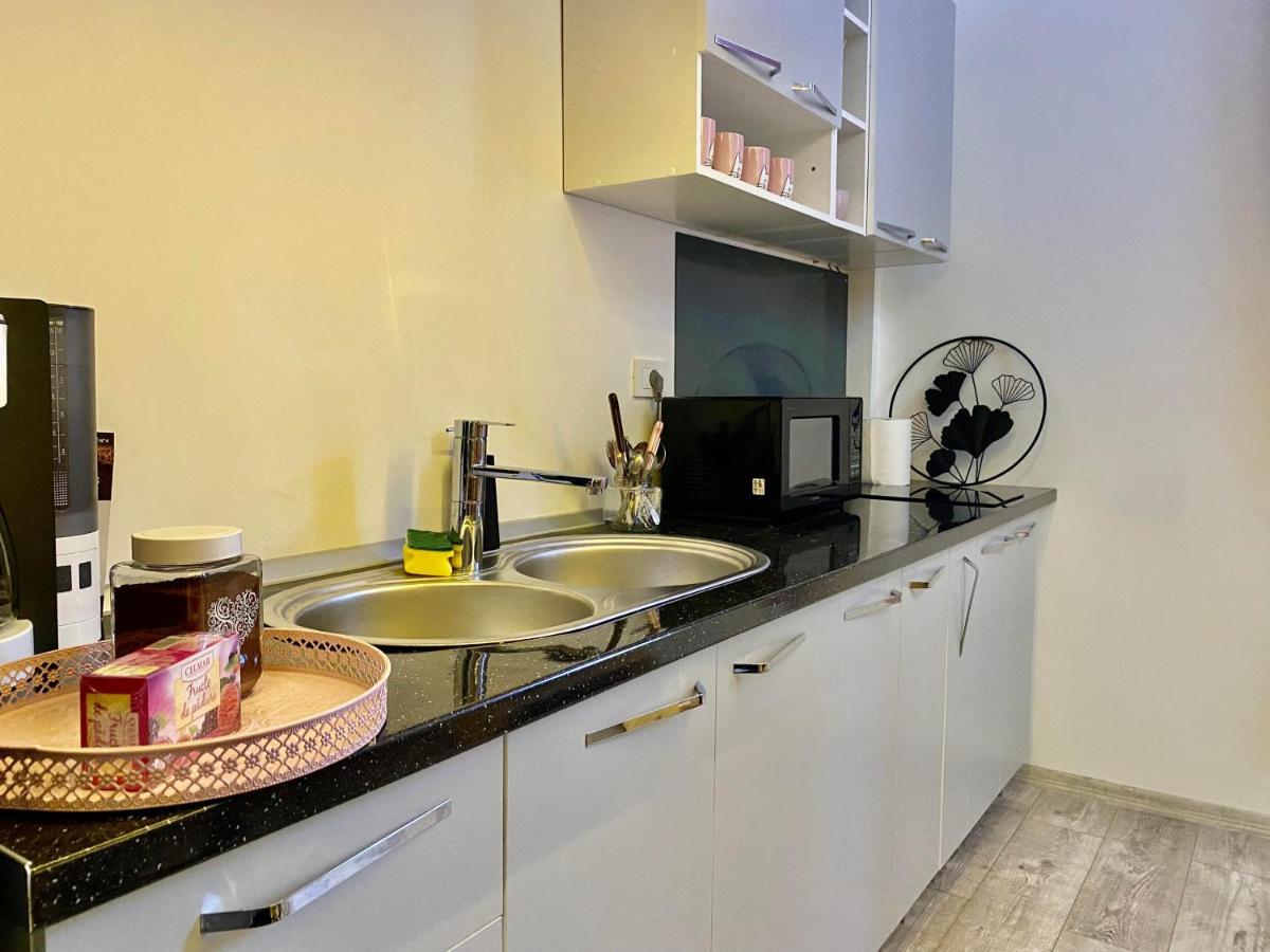 The Central Apartament Διαμέρισμα Κλουζ-Ναπόκα Εξωτερικό φωτογραφία