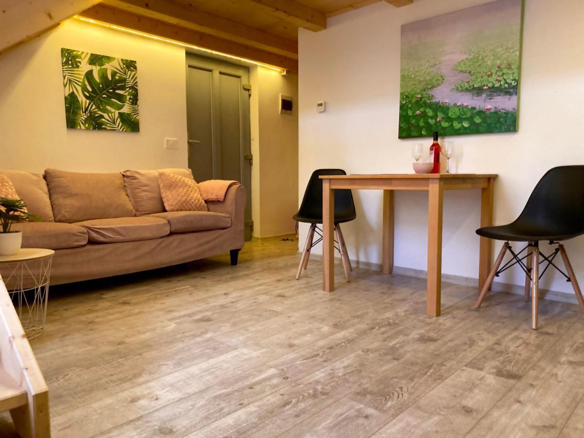 The Central Apartament Διαμέρισμα Κλουζ-Ναπόκα Εξωτερικό φωτογραφία