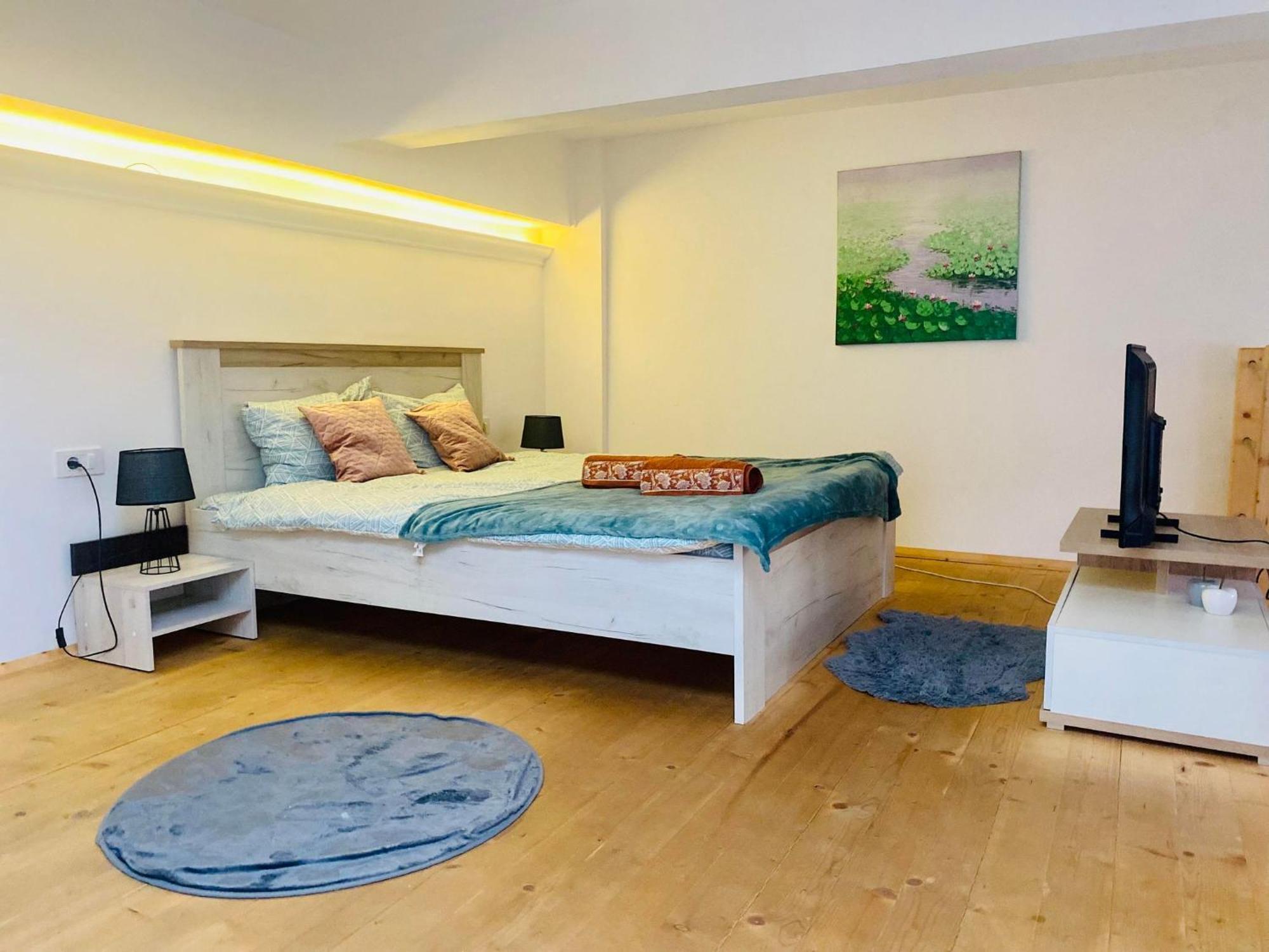 The Central Apartament Διαμέρισμα Κλουζ-Ναπόκα Εξωτερικό φωτογραφία